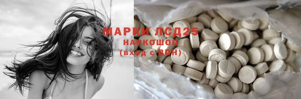 Альфа ПВП Горняк