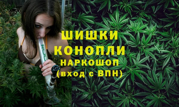 mdpv Гусев
