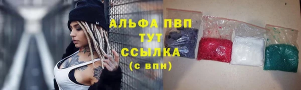 гидра Горно-Алтайск