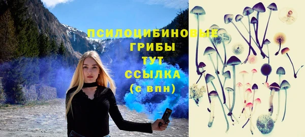 Альфа ПВП Горняк