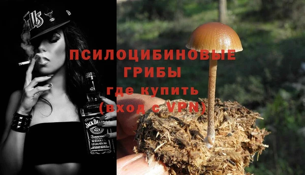 Альфа ПВП Горняк