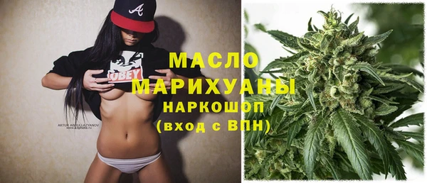 гидра Горно-Алтайск