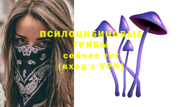 Альфа ПВП Горняк