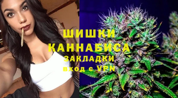 гидра Горно-Алтайск